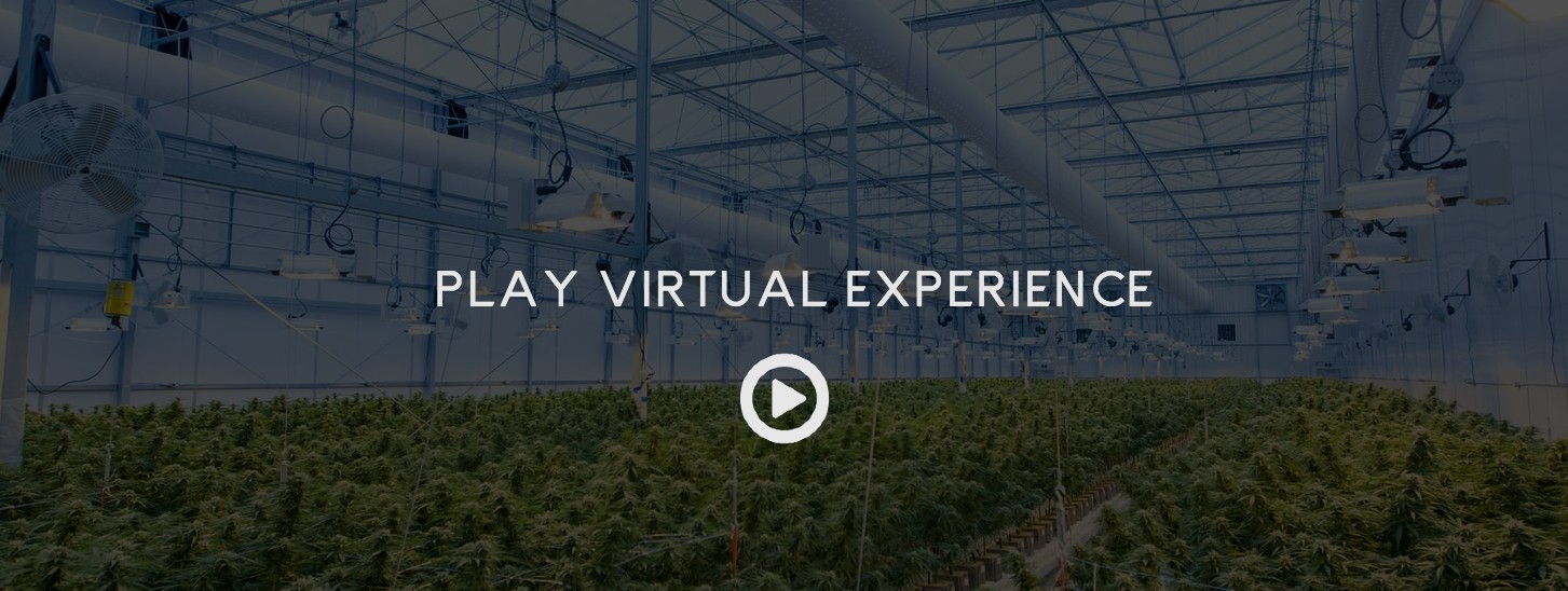 DISPENSARY VIRTUAL TOURS